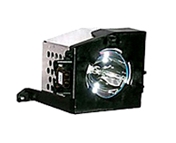 Replacement Lamp