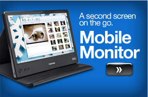 Mobile Monitor
